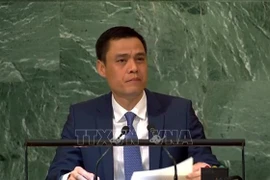 Vietnam propone a ASEAN fomentar coordinación de posiciones conjuntas en ONU