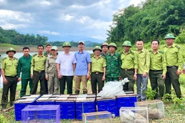 Liberan al hábitat natural 56 ejemplares de animales salvajes raros en Vietnam