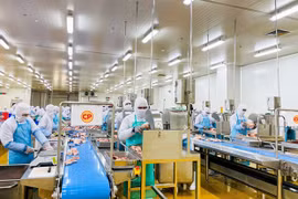Empresa vietnamita exportará su primer lote de carne de pollo procesado a Japón