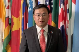 Elección al Consejo de DD.HH. afirma esfuerzos de Vietnam en promoción de derechos humanos