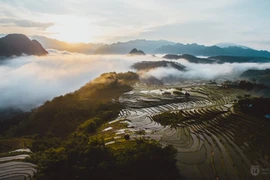 Thanh Hoa desarrolla turismo en zonas de parques nacionales