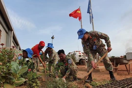Cascos azules de Vietnam promueven estilo de vida verde en Sudán del Sur
