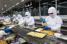 Escuela de Dinamarca efectúa seminario para mejorar capacidad de empresas vietnamitas 