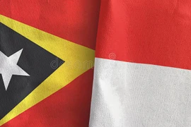Indonesia y Timor Leste por establecer una zona de cooperación económica 