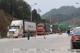 Despacho de mercancías en puertas fronterizas de Vietnam con China enfrenta dificultades