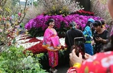Celebran Festival de intercambio cultural Kochi-Vietnam