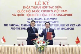 Presidente de la Asamblea Nacional de Singapur aboga por consolidar lazos con Parlamento de Vietnam
