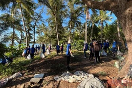 Provincia vietnamita celebra actividades por Día Mundial del Medio Ambiente