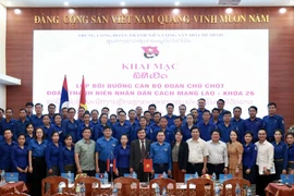 Organización juvenil de Vietnam recluta más voluntarios internacionales