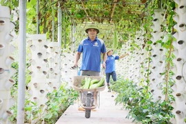 Bac Giang aumenta el valor de la producción agrícola