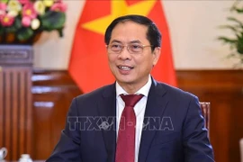 Crean nuevo impulso para nexos entre Vietnam y China 