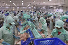 Intercambio comercial Vietnam-Australia reporta señales positivas