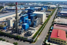 Provincias vietnamitas fortalecen conciencia sobre protección ambiental