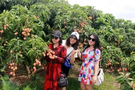 Provincia de Bac Giang busca formas para maximizar el potencial turístico