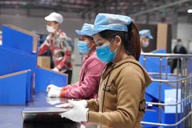 Suministrarán libreta electrónica de trabajo a millones de empleados vietnamitas
