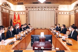 Efectuarán octava edición del Festival Vietnam-Japón en Ciudad Ho Chi Minh 