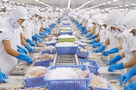 Vietnam entre mayores proveedores de productos acuáticos de Estados Unidos