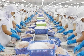 Vietnam entre mayores proveedores de productos acuáticos de Estados Unidos