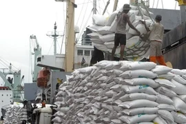 Presidente de Indonesia firma regulación sobre reservas de alimentos del gobierno