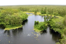 Parque nacional U Minh Thuong, destino de ecoturismo hospitalario en Vietnam