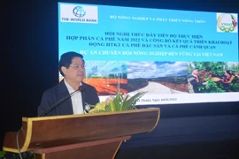 Altiplanicie Occidental de Vietnam adopta prácticas sostenibles en producción de café