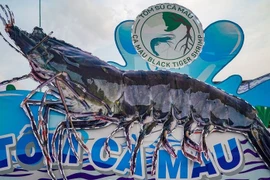 Provincia de Ca Mau acogerá primer festival del camarón