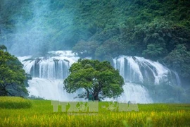 Inauguran Festival de Cascada de Ban Gioc 2023
