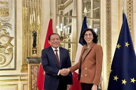 Cooperación cultural: punto brillante en la amistad Vietnam-Francia