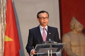 Embajador vietnamita resalta desarrollo práctico y efectivo de relaciones Vietnam-Dinamarca