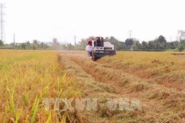 Acogerá Vietnam IV conferencia mundial sobre sistemas alimentarios sostenibles