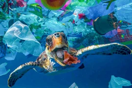 Vietnam y Japón cooperan en gestión de residuos oceánicos