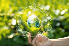 Vietnam: Economía verde será motor de crecimiento 