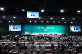 Logran éxitos asistencia a COP28 y gira a Medio Oriente de Premier vietnamita