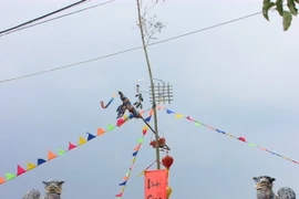 Realizan diversas actividades culturales para celebrar la fiesta del Tet