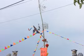 Realizan diversas actividades culturales para celebrar la fiesta del Tet