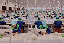 Vietnam, uno de los países con alto ritmo de crecimiento económico