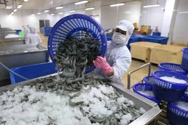 Buscan fomentar cooperación empresarial entre Vietnam y Reino Unido