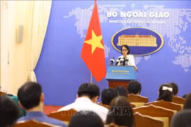 No se reportan víctimas vietnamitas tras catástrofes en Marruecos y Libia, según portavoz