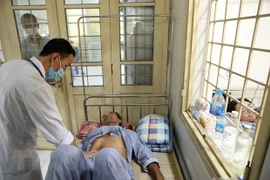 Hanoi se mantiene alerta contra el dengue