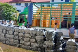 Policía de Laos incauta gran cantidad de drogas
