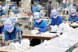 Anuncian evaluación de 500 empresas privadas más grandes de Vietnam
