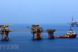 Empresa mixta de petróleo y gas contribuye a impulsar lazos Rusia-Vietnam 