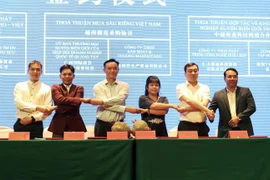  Promueven cooperación comercial entre Ciudad Ho Chi Minh y Guangxi