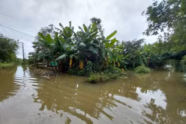 Primer ministro pide respuestas proactivas a riesgos de inundaciones en región central