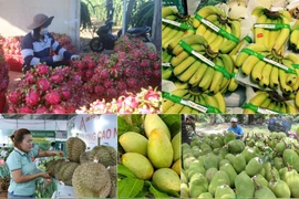 Debaten medidas para mejorar calidad de productos de alimentos de Vietnam a China