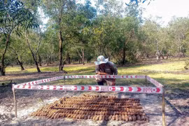 Provincia vietnamita de Quang Tri destruye 299 artefactos explosivos 
