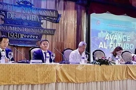 Empresa vietnamita Thai Binh presenta en Cuba posibles negocios