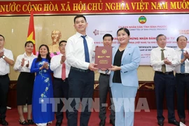 Empresa china invierte 500 millones de USD en producción de neumáticos en Vietnam