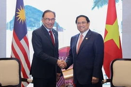 Embajador malasio: Existe un gran potencial para la cooperación Vietnam-Malasia