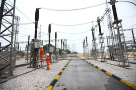 Empresas eléctricas vietnamitas y rusas reanudan cooperación estratégica
